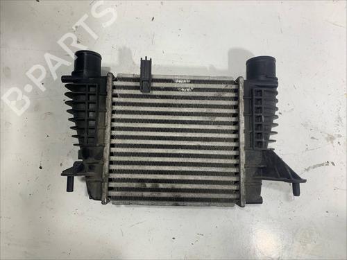 Intercooler RENAULT CLIO III (BR0/1, CR0/1) 1.5 dCi (BR17, CR17) | BP29211602M30 