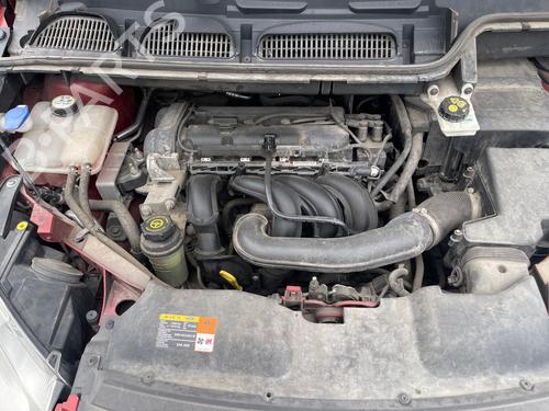 Used Engine control unit (ECU) FORD C-MAX (DM2) 1.6 (100 hp) 30385668