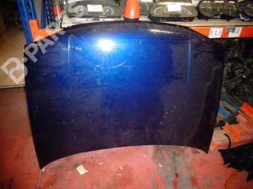 Used Hood VW GOLF IV (1J1) 1.9 TDI (90 hp) 10997297