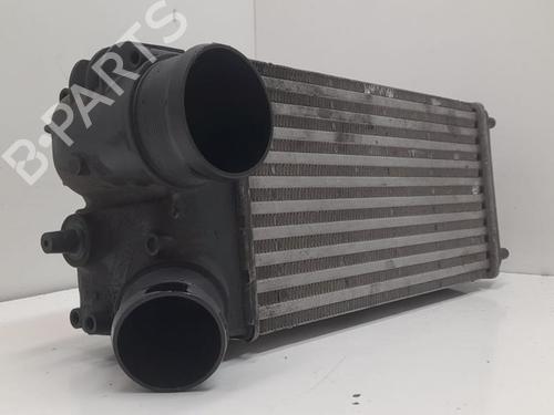 Intercooler FORD FIESTA VI (CB1, CCN) 1.6 TDCi | BP19107239M30 