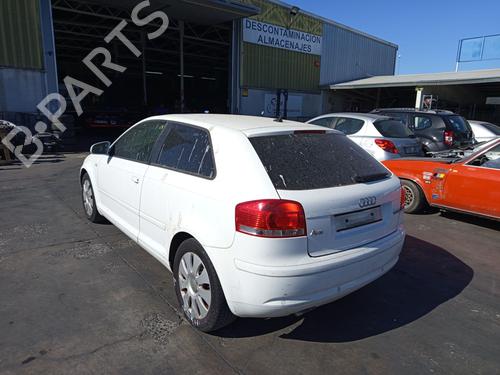 Used Parts AUDI A3 (8P1) 1.9 TDI (105 hp) 4196600