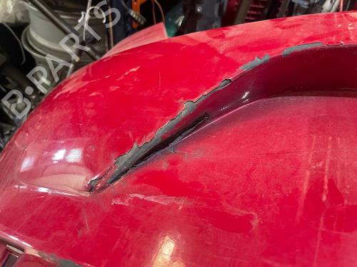 Rear bumper SEAT LEON (1P1) 2.0 TDI | BP19343150C8 