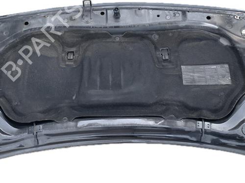 Hood RENAULT MEGANE II (BM0/1_, CM0/1_) 2.0 dCi (BM1K, CM1K) | BP17081276C1 