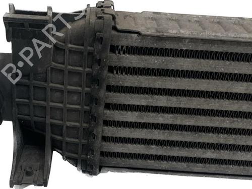 Intercooler FORD FOCUS II (DA_, HCP, DP)  | BP15409019M30 