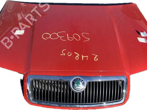 Panser SKODA FABIA I Combi (6Y5) 1.4 TDI (80 hp) 16698544