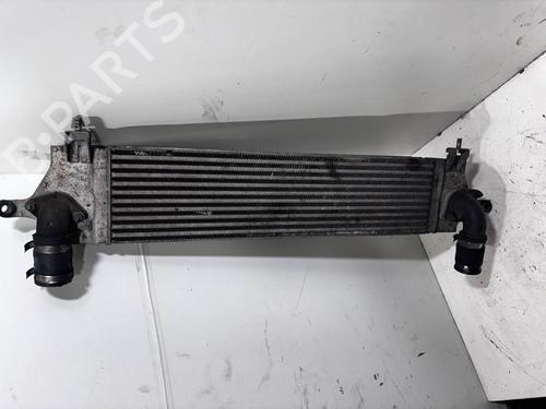 Intercooler NISSAN QASHQAI I (J10, NJ10) 2.0 (141 hp) 31309418