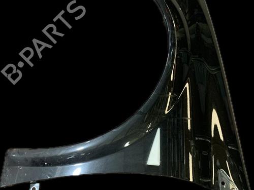 Left front fenders RENAULT MEGANE II (BM0/1_, CM0/1_) 2.0 dCi (BM1K, CM1K) | BP17070092C41 