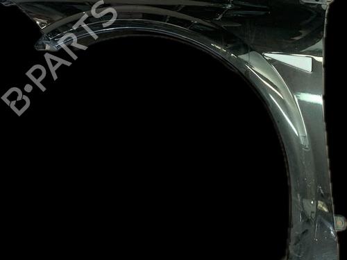 Used Left front fenders RENAULT MEGANE II (BM0/1_, CM0/1_) 2.0 dCi (BM1K, CM1K) (150 hp) 17070092