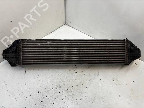 Intercooler FORD KUGA II (DM2) 2.0 TDCi | BP29630431M30