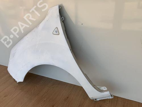 Left front fenders RENAULT KANGOO (KC0/1_) 1.5 dCi | BP11833977C41 