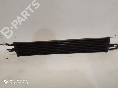 Oliekøler LAND ROVER RANGE ROVER SPORT I (L320) 3.6 D 4x4 (272 hp) 11009076