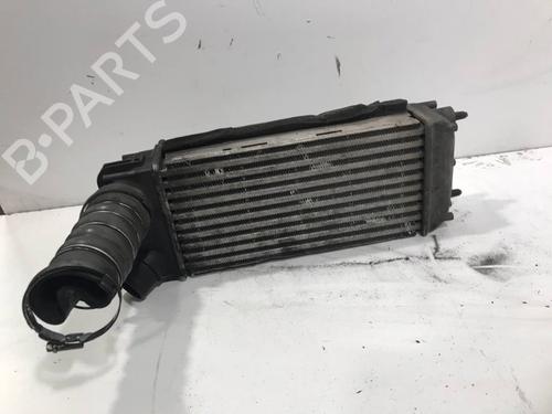 Used Intercooler FORD FIESTA VI (CB1, CCN) 1.6 TDCi (90 hp) 27300981