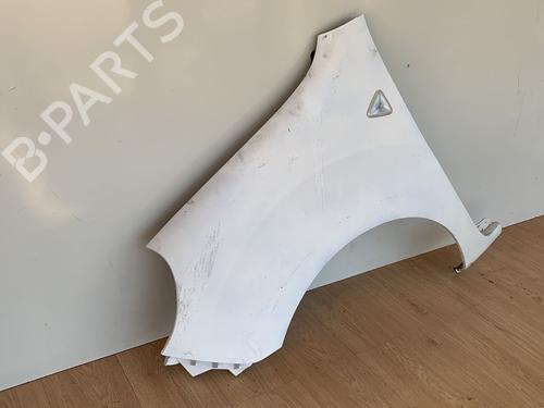 Left front fenders RENAULT KANGOO (KC0/1_) 1.5 dCi | BP11833977C41 