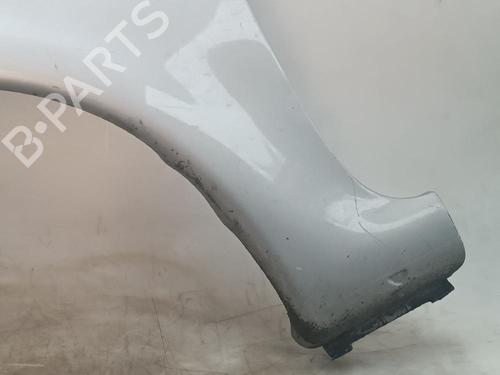 Left front fenders CITROËN XSARA PICASSO (N68) 1.6 HDi | BP20501203C41 
