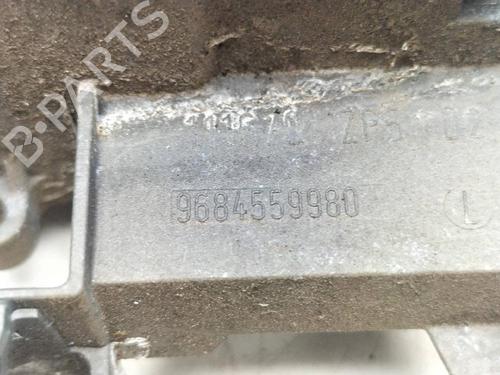 Rear right exterior door handle CITROËN C3 II Hatchback Van (SC_) 1.4 HDi | BP13384020C130 