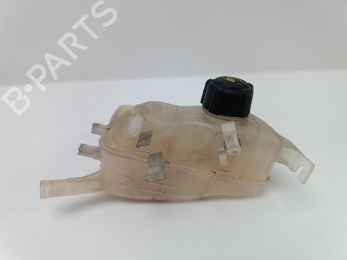 Used Expansion tank RENAULT MEGANE III Hatchback (BZ0/1_, B3_) [2008-2025]  24494798