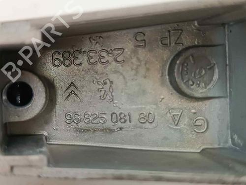 Rear left exterior door handle CITROËN C4 I (LC_)  | BP18001938C130 