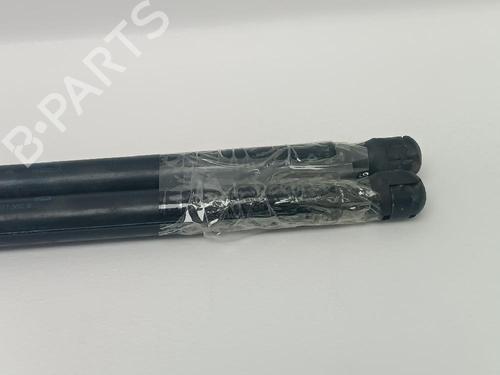 Tailgate lift support SEAT IBIZA III (6L1)  | BP24549345C138 
