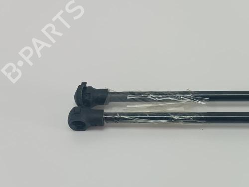 Tailgate lift support CITROËN SAXO (S0, S1)  | BP24485522C138 