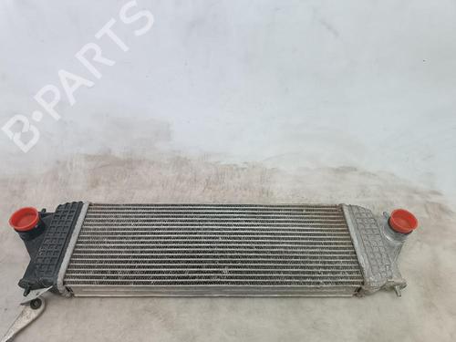 Used Intercooler SUZUKI GRAND VITARA II (JT, TE, TD) 1.9 DDiS (JB419WD, JB419XD) (129 hp) 21222966