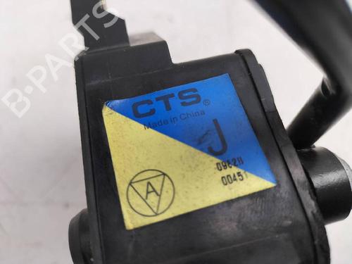 Pedal NISSAN X-TRAIL II (T31) 2.0 dCi 4x4 | BP12629823I4 