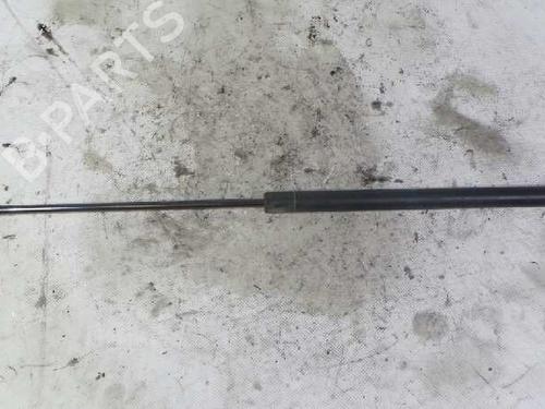 Used Hood lift support SEAT TOLEDO II (1M2) 1.9 TDI (110 hp) 14241874