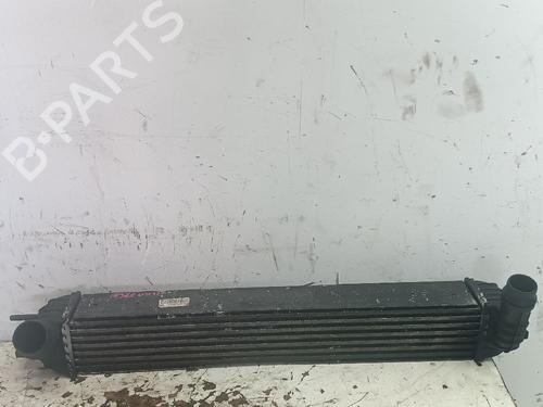 Used Intercooler RENAULT LAGUNA III (BT0/1) 2.0 16V (BT05, BT0F, BT0W) (140 hp) 25129130