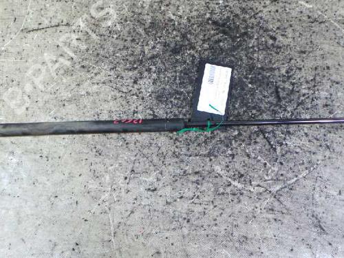Used Hood lift support SEAT TOLEDO II (1M2) 1.9 TDI (110 hp) 14241771