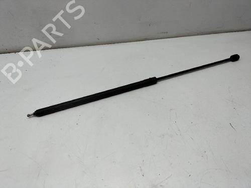 Used Hood lift support RENAULT MEGANE III Hatchback (BZ0/1_, B3_) 1.5 dCi (BZ1G, BZ1W, BZ0R) (95 hp) 14243248