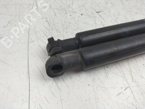 Hood lift support BMW 3 Coupe (E46) 328 Ci | BP14243214C139