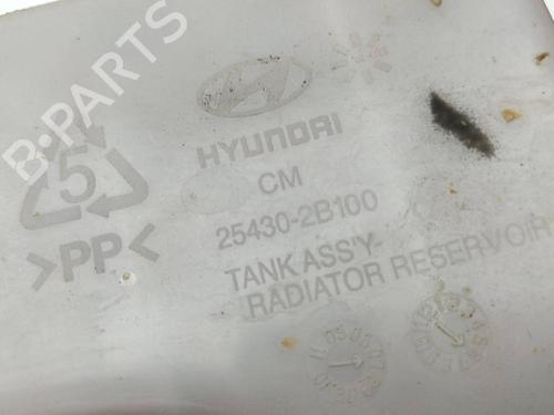 Expansion tank HYUNDAI SANTA FÉ II (CM) 2.2 CRDi GLS | BP14990861C120 