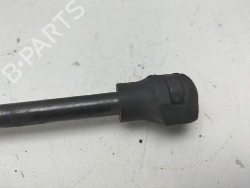 Hood lift support RENAULT CLIO IV (BH_)  | BP14243093C139 
