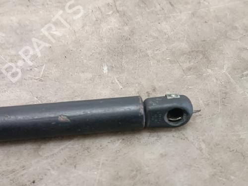 Hood lift support VW GOLF V (1K1)  | BP24494316C139 