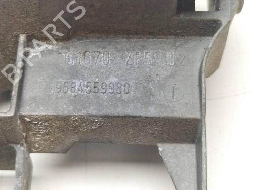 Front right exterior door handle CITROËN C3 II Hatchback Van (SC_) 1.4 HDi | BP13362226C129 