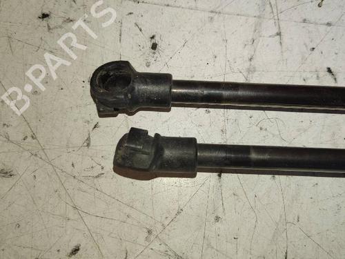 Tailgate lift support NISSAN QASHQAI / QASHQAI +2 I (J10, NJ10, JJ10E) 2.0 dCi | BP14242631C138 