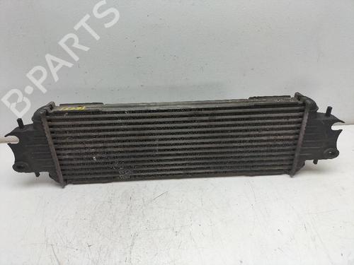 Intercooler RENAULT TRAFIC II Platform/Chassis (EL) 1.9 dCi 100 (EL0C) | BP13321721M30 