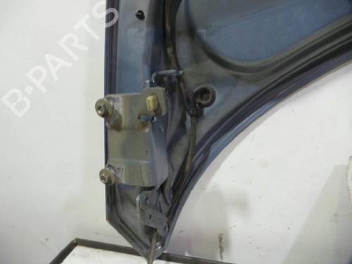 Hood RENAULT GRAND SCÉNIC II (JM0/1_) 1.9 dCi (JM0G, JM12, JM1G, JM2C) | BP12622066C1 