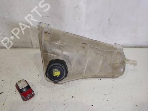 Used Expansion tank RENAULT KANGOO / GRAND KANGOO II (KW0/1_) 1.5 dCi 85 (KW0K, KW0L, KW0B) (86 hp) 12624242