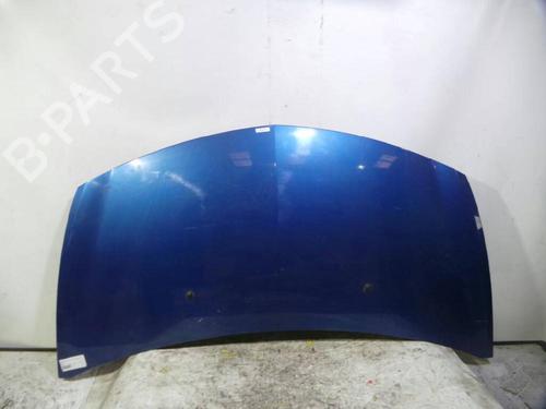 Used Hood RENAULT CLIO III (BR0/1, CR0/1) 1.5 dCi (C/BR0G, C/BR1G) (68 hp) 12940717