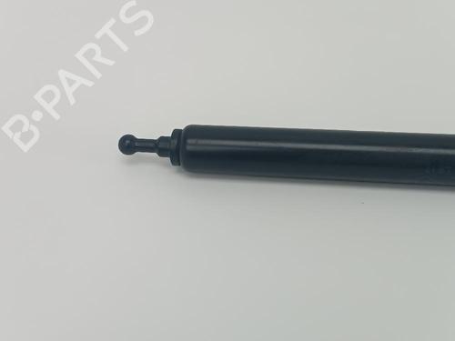 Hood lift support RENAULT MEGANE III Hatchback (BZ0/1_, B3_)  | BP23564041C139 