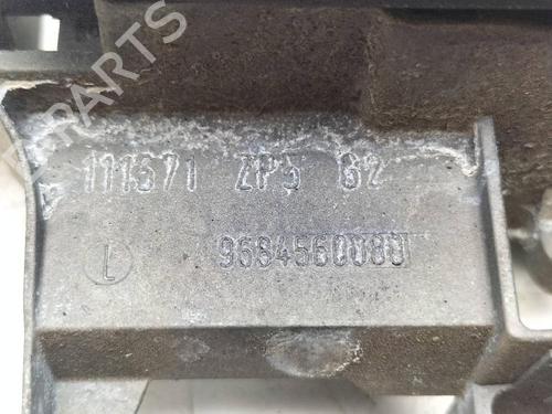 Rear left exterior door handle CITROËN C3 II Hatchback Van (SC_) 1.4 HDi | BP13362227C130 