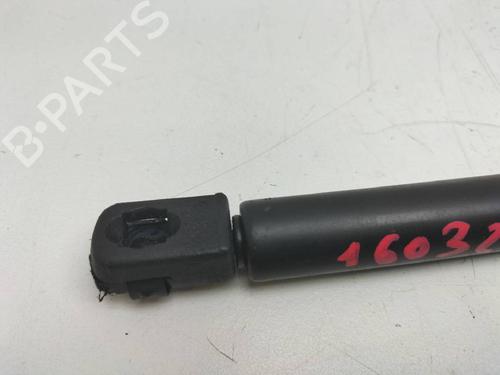 Hood lift support FIAT STILO (192_) 1.9 JTD | BP14242971C139 