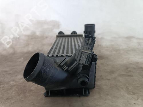 Intercooler PEUGEOT 406 (8B)  | BP22396920M30 