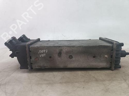 Intercooler CITROËN XSARA PICASSO (N68) 1.6 HDi | BP20509963M30 