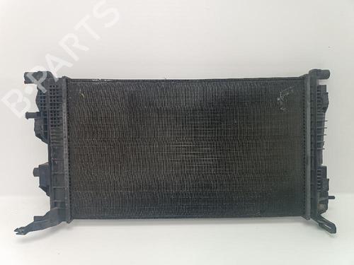 Køler RENAULT MEGANE III Hatchback (BZ0/1_, B3_)  | BP24494819M31 