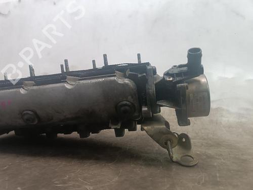 Cylinder head RENAULT SCÉNIC I MPV (JA0/1_, FA0_) 1.9 dCi (JA05, JA1F) | BP24494754M5 