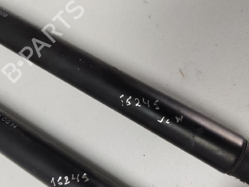 Tailgate lift support NISSAN MICRA III (K12) 1.2 16V | BP15283828C138 