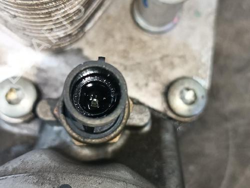 Oliekøler OPEL VECTRA C (Z02)  | BP23184847M33 