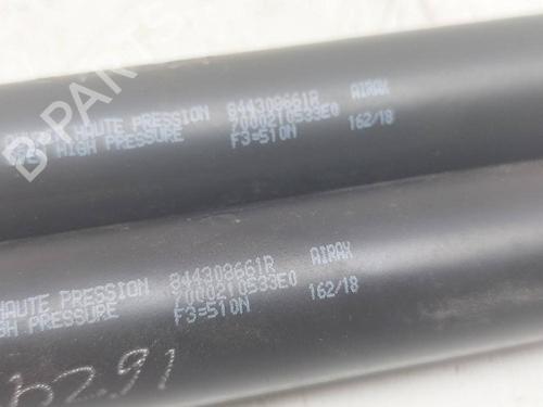 Tailgate lift support RENAULT CLIO IV (BH_)  | BP14243094C138 