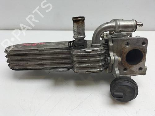 Egr SEAT LEON (1P1) 1.9 TDI | BP14242765M69 